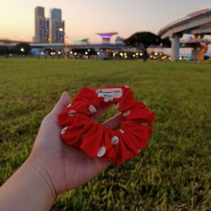 Scrunchies |  復古系髮圈